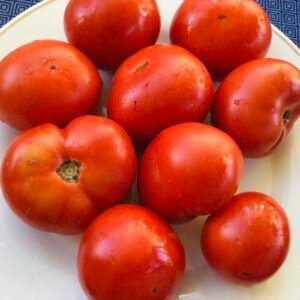 Alenka Tomato Seeds