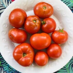 Dwarf Patio Pride Tomato Seeds