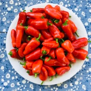 Lunchbox Red Sweet Pepper