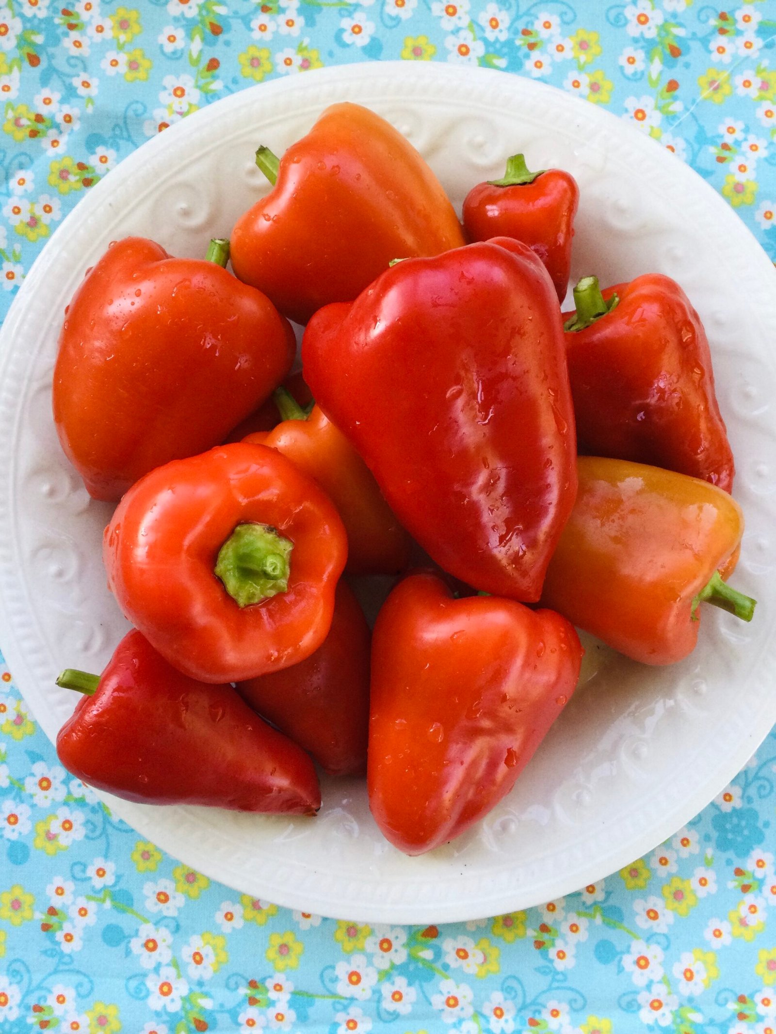 Red Belgium Sweet Pepper Seeds