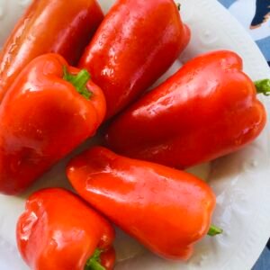 Nomad Sweet Pepper Seeds