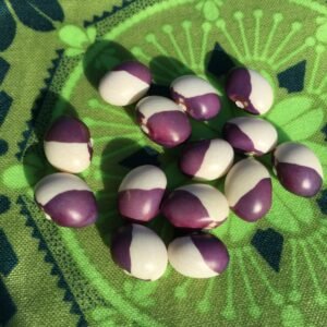 New Varieties for 2026