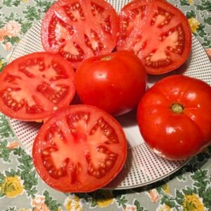 Tatar of Mongolistan Tomato Seeds