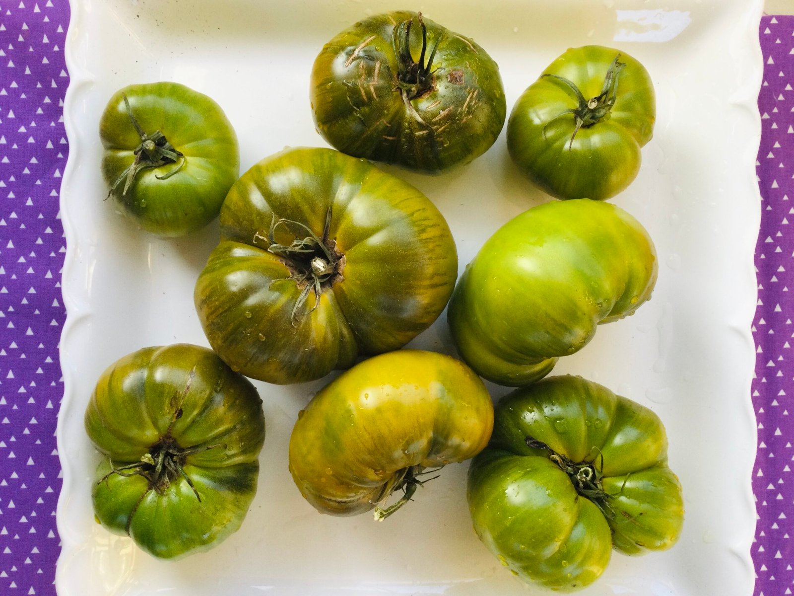 Irish Liquor Tomato Seeds - Image 4