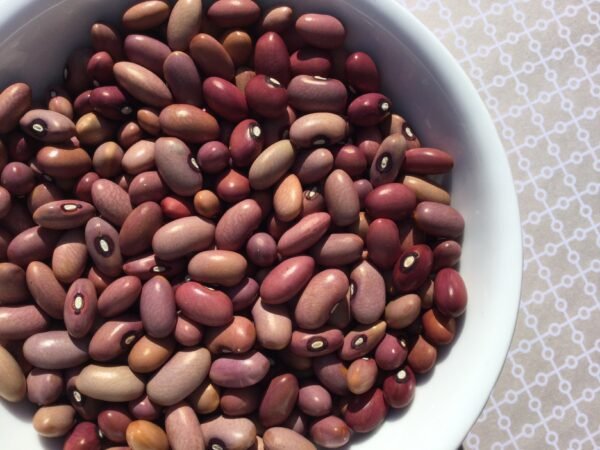 Coral Pole Bean Seeds