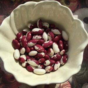 Enfant de coeur de Arnald-Aosta Pole Bean Seeds