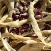 Enfant de coeur de Arnald-Aosta Pole Bean Seeds