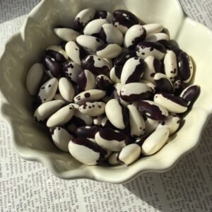 Macia Pole Bean Seeds