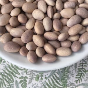 Fumolet di Fonzaso Bush Bean Seeds