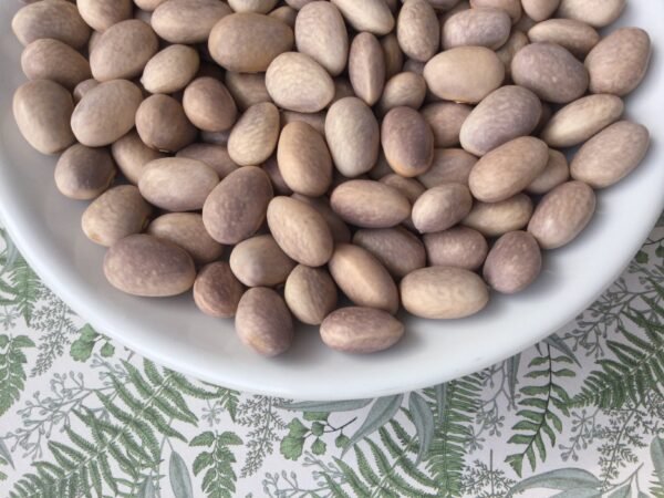 Fumolet di Fonzaso Bush Bean Seeds