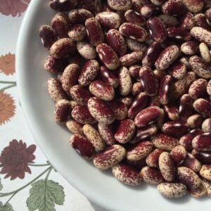 Nigel Bush Bean Seeds