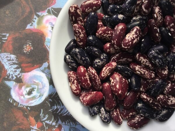 Anakin Kuvallii Giant Pole Bean Seeds