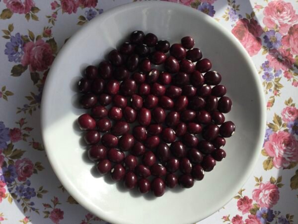 Astrid Pole Bean Seeds