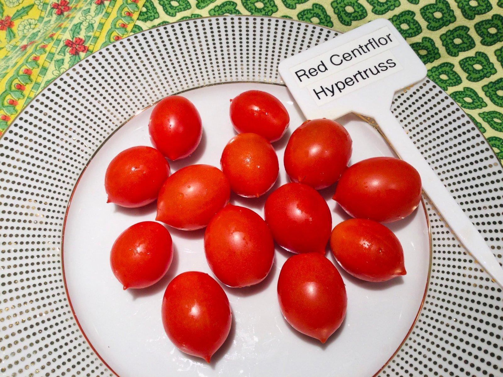 Red Centriflor Hypertruss Tomato Seeds