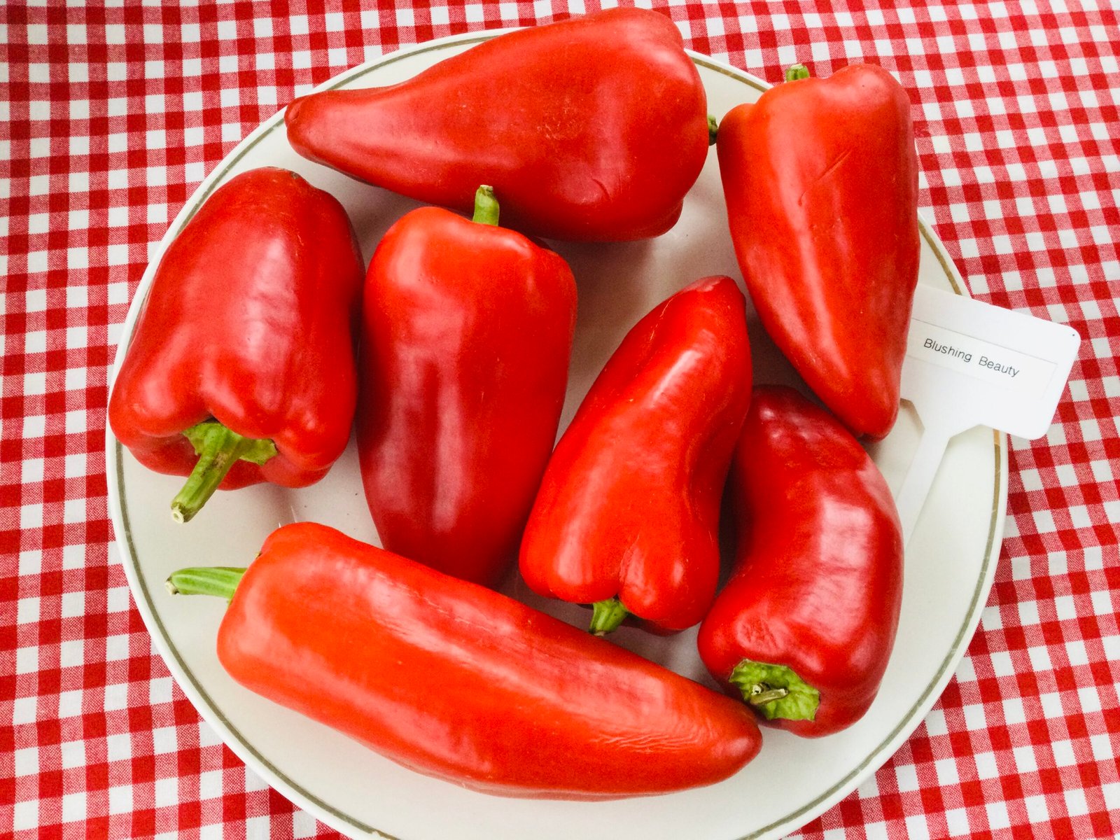 Blushing Beauty Sweet Pepper Seeds