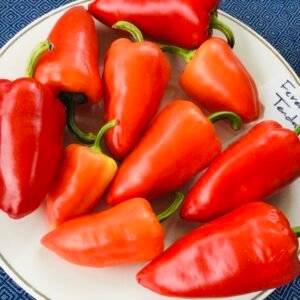Ferenc Tendre Sweet Pepper Seeds
