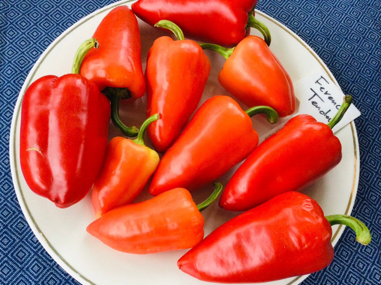 Ferenc Tendre Sweet Pepper Seeds