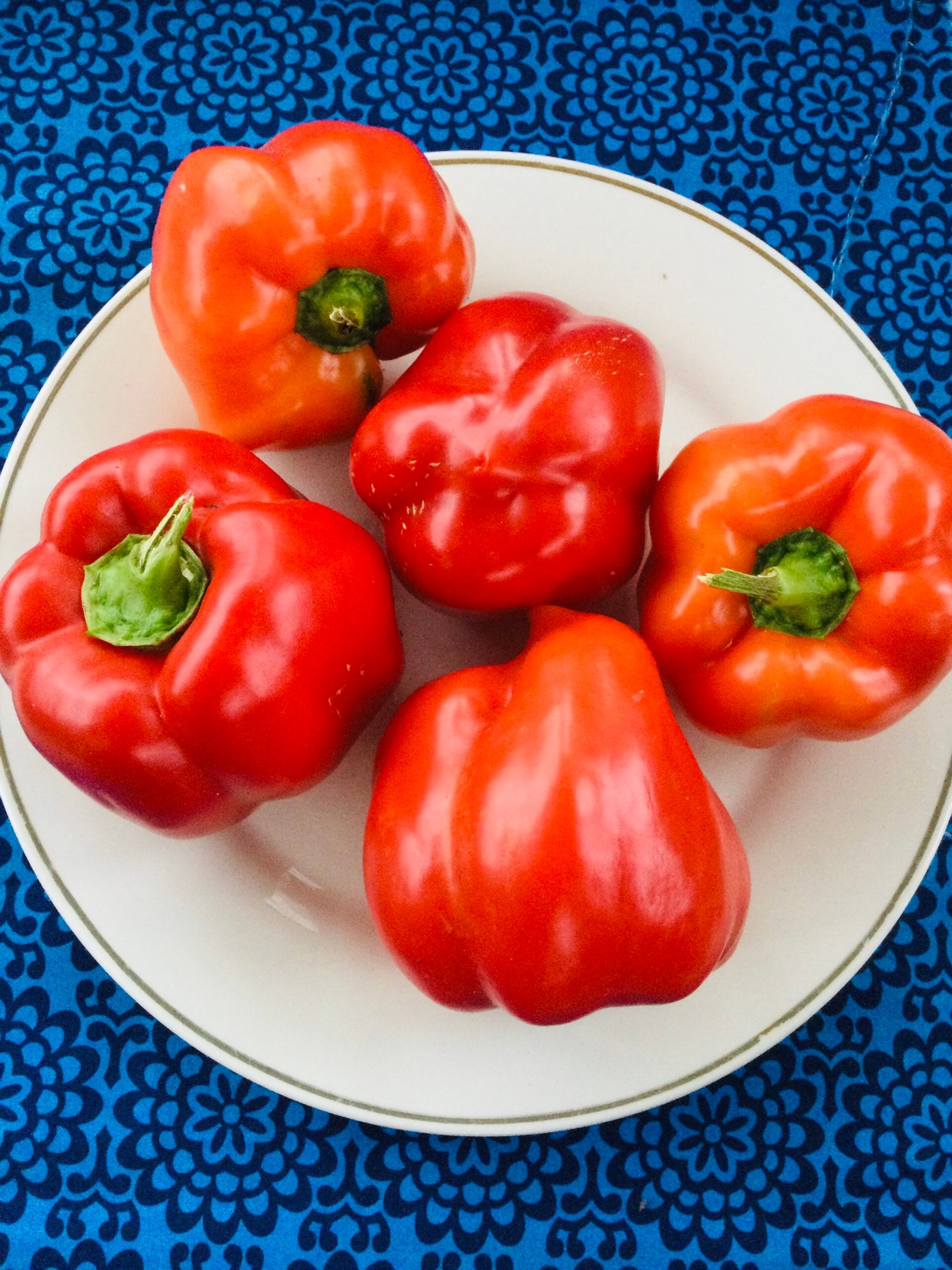 Peace Bell Sweet Pepper Seeds