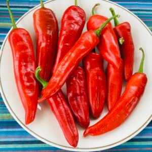 Chervena Chuska Sweet Pepper Seeds