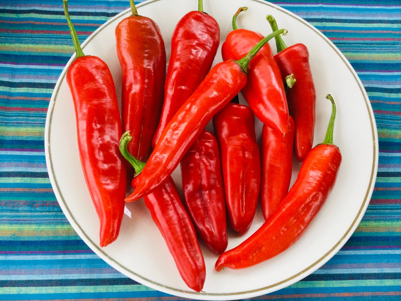 Chervena Chuska Sweet Pepper Seeds