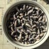 Veitch's Wonder Bush Bean Seeds