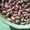 Zimbabwe Stones Semi-Runner Bean Seeds