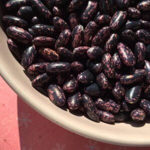 Syrian Fire Bush Bean Seeds