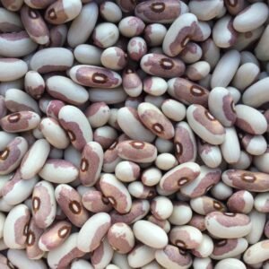 Paulchen Bush Bean Seeds