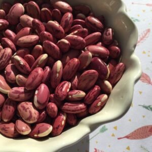 Poroto Huancabamba Bush Bean Seeds