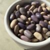 Porcelain Bush Bean Seeds