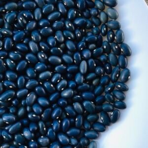 Blaugraue Pole Bean Seeds