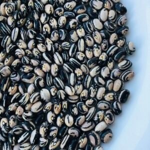 Stripey Snap Pole Bean Seeds