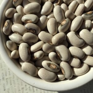 Brown Eyed Goose Pole Bean Seeds