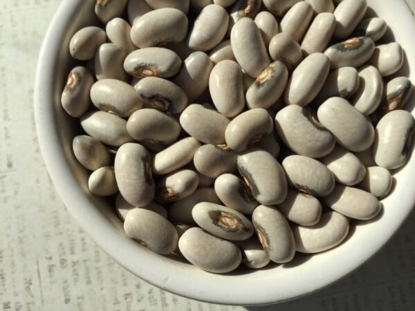 Brown Eyed Goose Pole Bean Seeds