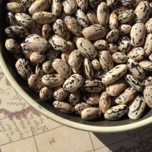 Brizzolo Toscana Pole Bean Seeds