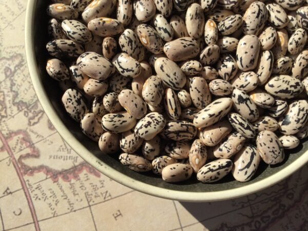 Brizzolo Toscana Pole Bean Seeds