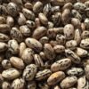 Brizzolo Toscana Pole Bean Seeds