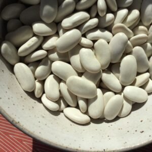 Harvey's White Haricot Pole Bean Seeds