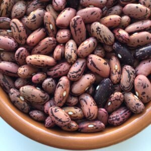 Barrangeonnier Bush Bean Heirloom Seeds Grown in Sudbury, Ontario, Canada. Grown Organically. Heritage Hobby Seed Ark.