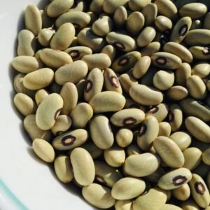 Slavonski Zeleni Grah Bush Bean Seeds