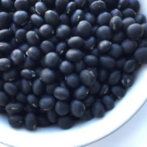 Black Panther Soybean Heirloom Seeds Grown in Sudbury, Ontario, Canada. Grown Organically. Heritage Hobby Seed Ark.