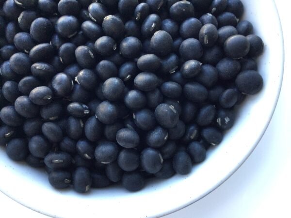 Black Panther Soybean Heirloom Seeds Grown in Sudbury, Ontario, Canada. Grown Organically. Heritage Hobby Seed Ark.