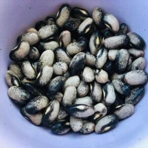 Juanita Smith Semi - Runner Bean Seeds