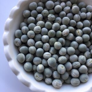 Rimpaus Green Viktoria Pea Heirloom Seeds Grown in Sudbury, Ontario, Canada. Grown Organically. Heritage Hobby Seed Ark.