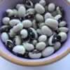 Liscek Pole Bean Heirloom Seeds. Grown in Sudbury, Ontario, Canada. Organically Grown. Heritage Hobby Seed Ark.