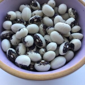 Liscek Pole Bean Heirloom Seeds. Grown in Sudbury, Ontario, Canada. Organically Grown. Heritage Hobby Seed Ark.