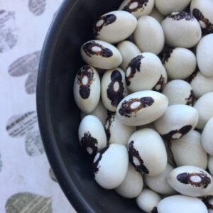 Occio Della Madonna Pole Bean Heirloom Seeds. Grown in Sudbury, Ontario, Canada. Organically Grown. Heritage Hobby Seed Ark.