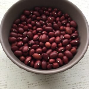 Low's Champion Bush Bean Heirloom Seeds. Grown in Sudbury, Ontario, Canada. Organically Grown. Heritage Hobby Seed Ark.