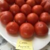 Cesu Agrais Tomato Seeds