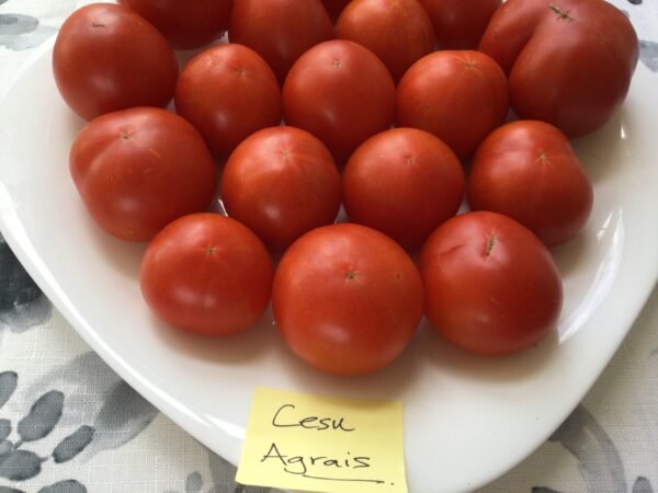 Cesu Agrais Tomato Seeds